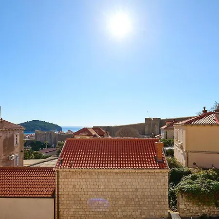 Apartment Iza Grada *